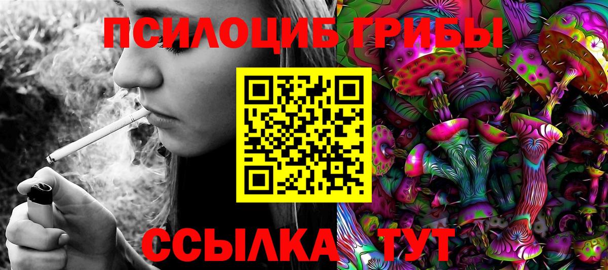Псилоцибиновые грибы мицелий  Вход с VPN  Псилоцибиновые грибы мицелий  Гулькевичи 